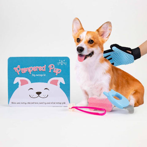 Gift Republic Massage kit - Dog