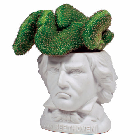 UPG Plantenpot - Ludwig van Beethoven