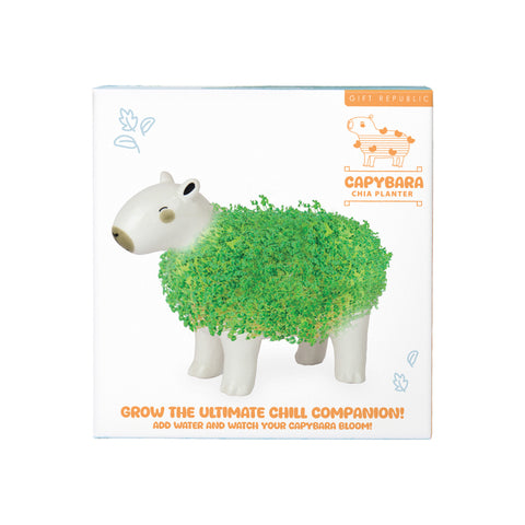 Gift Republic Plantenpot met chiazaden - Capybara