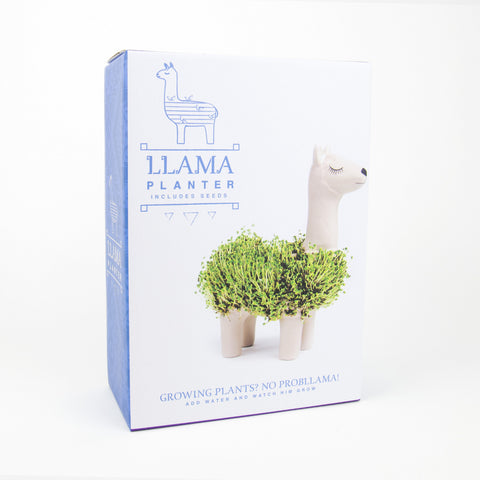 Gift Republic Plantenpot met chiazaden - Llama