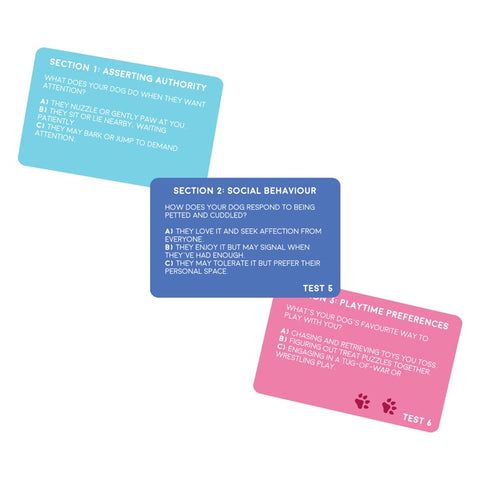 Gift Republic Kaartenset - Dog Personality Test