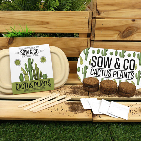 Gift Republic Sow & Co Kweekset - Cactus Plants