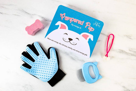 Gift Republic Massage kit - Dog