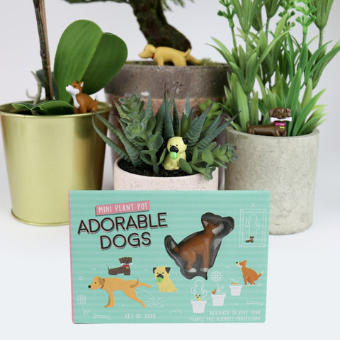 Gift Republic Plantenpot decoratie - Adorable Dogs