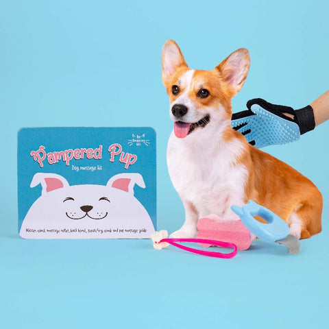 Gift Republic Massage kit - Dog