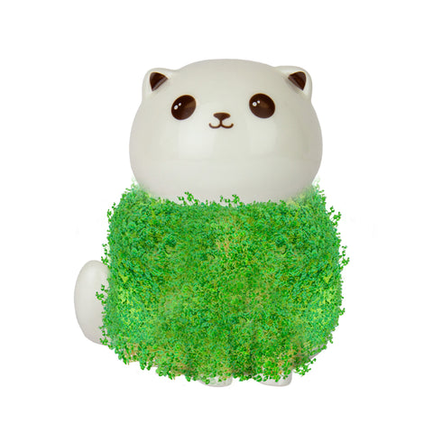 Gift Republic Plantenpot met chiazaden - Cat