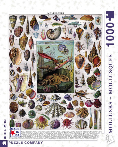 New York Puzzle Company Puzzel Mollusks - 1000 stukjes