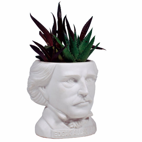 UPG Plantenpot - Edgar Allan Poe