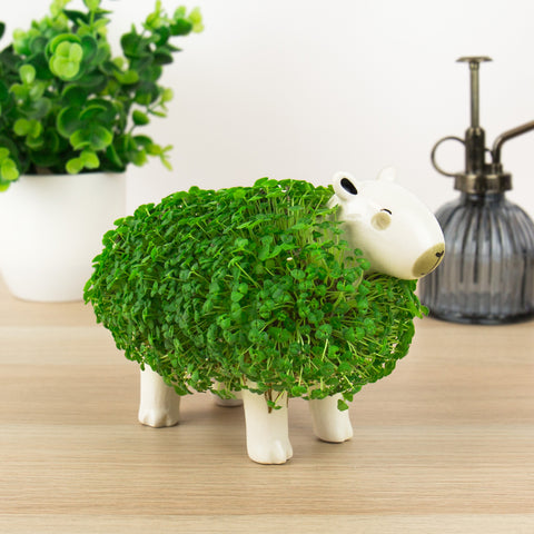 Gift Republic Plantenpot met chiazaden - Capybara