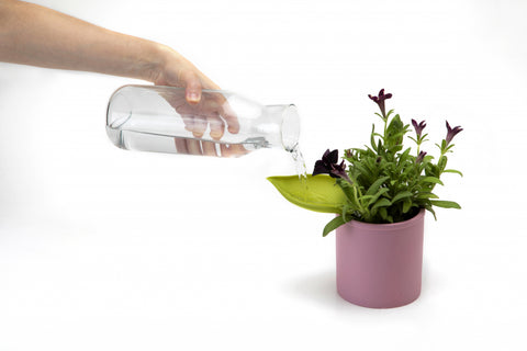 Peleg Design Bewateringstunnel Leaflow set van 3