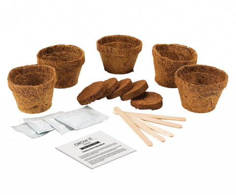 Gift Republic Grow It Kweekset - Coffee