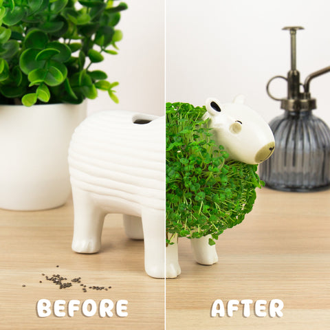 Gift Republic Plantenpot met chiazaden - Capybara