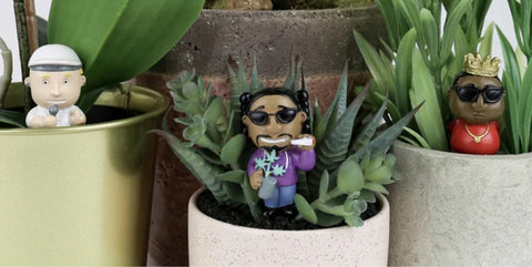 Gift Republic > Plantaccessoires & Zaden