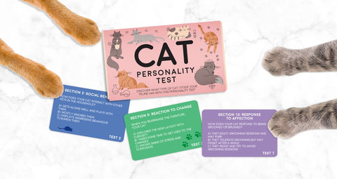 Gift Republic Kaartenset - Cat Personality Test