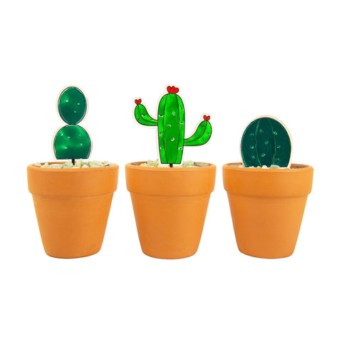 Gift Republic DIY kit - Stained Glass Succulents