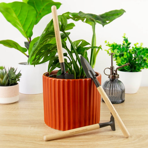 Gift Republic Plantverzorging set - Plant Parent