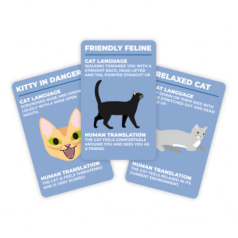Gift Republic Kaartenset - How to speak cat