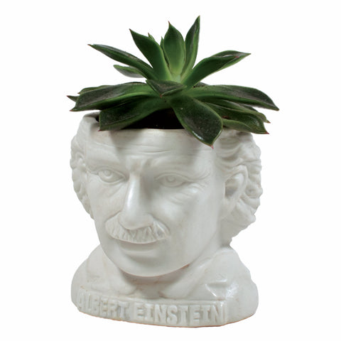 UPG Plantenpot - Albert Einstein