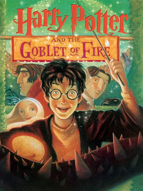 New York Puzzle Company Puzzel Harry Potter and the Goblet of Fire - 1000 stukjes