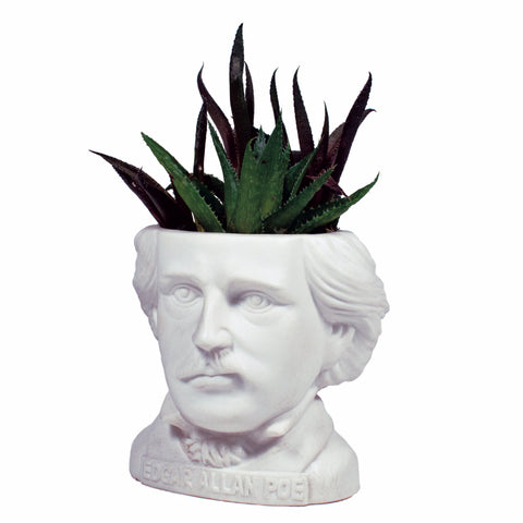 UPG Plantenpot - Edgar Allan Poe