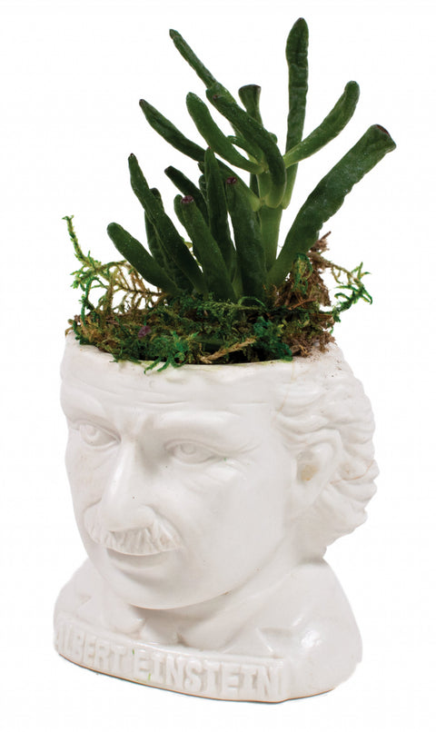 UPG Plantenpot - Albert Einstein