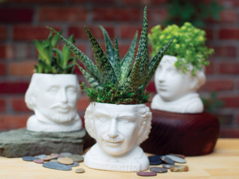 UPG Plantenpot - Albert Einstein