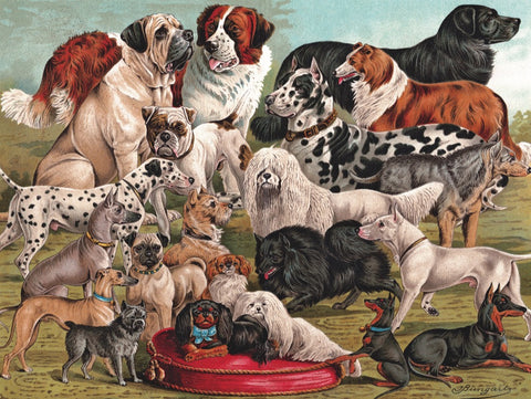 New York Puzzle Company Puzzel Dog Breeds - 1000 stukjes