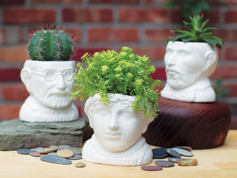 UPG Plantenpot - Jane Austen