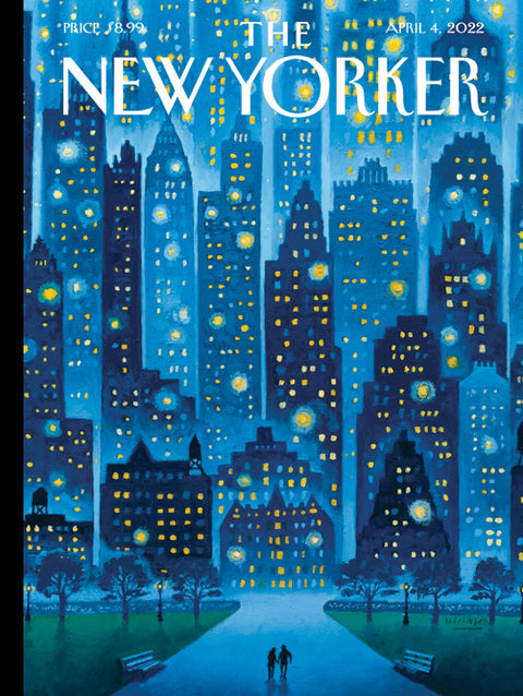 New York Puzzle Company Puzzel - Stellar Night - 1000 stukjes