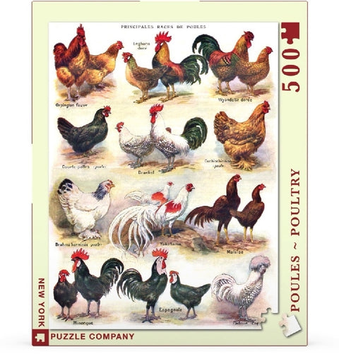 New York Puzzle Company Puzzel Poules ~ Poultry - 500 stukjes