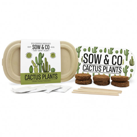 Gift Republic Sow & Co Kweekset - Cactus Plants