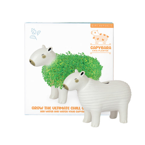 Gift Republic Plantenpot met chiazaden - Capybara