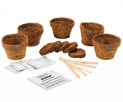 Gift Republic Grow It Kweekset - Bonsai Trees