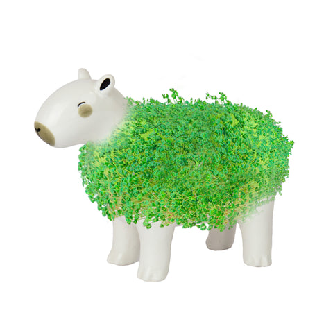 Gift Republic Plantenpot met chiazaden - Capybara