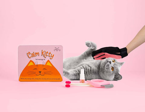 Gift Republic Massage kit - Cat