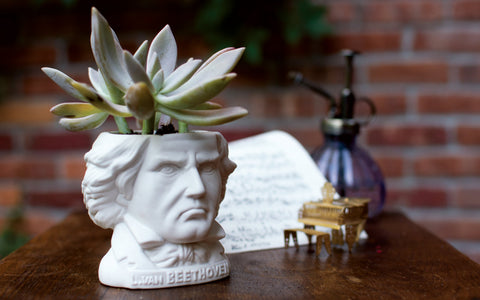 UPG Plantenpot - Ludwig van Beethoven