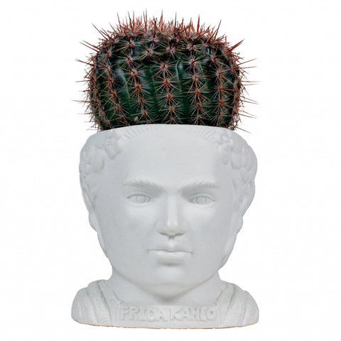 UPG Plantenpot - Frida Kahlo