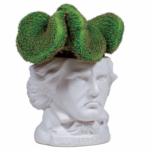 UPG Plantenpot - Ludwig van Beethoven