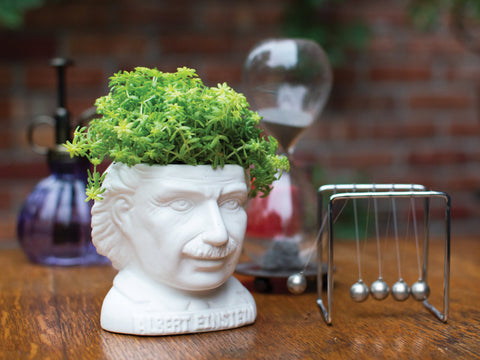 UPG Plantenpot - Albert Einstein
