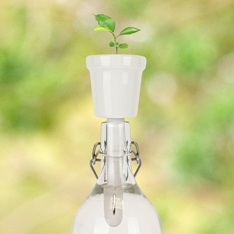 Gift Republic Botanical Bottles Kweekset - Coffee