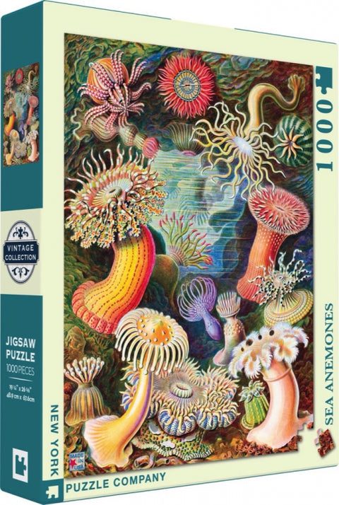 New York Puzzle Company Puzzel Sea Anemones - 1000 stukjes