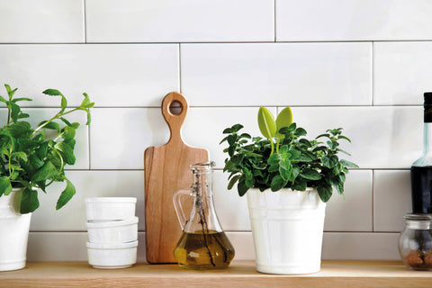 Peleg Design Kruidenschaar Leafers