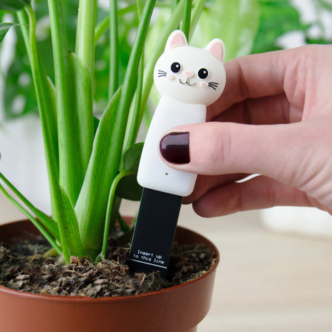 Gift Republic Vochtmeter - Cat