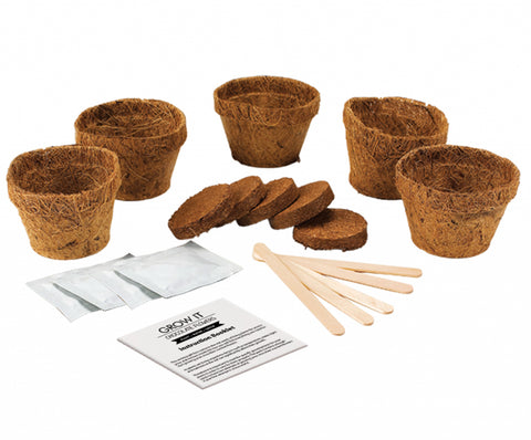 Gift Republic Grow It Kweekset - Cactus Plants
