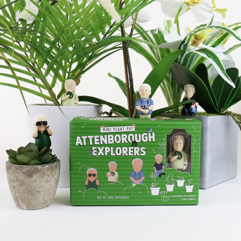 Gift Republic Plantenpot decoratie - Attenborough Explorers