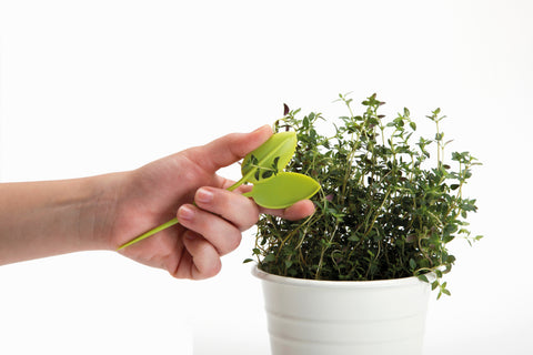 Peleg Design Kruidenschaar Leafers