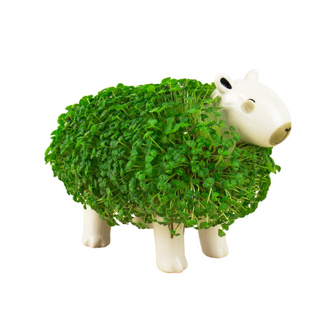 Gift Republic Plantenpot met chiazaden - Capybara