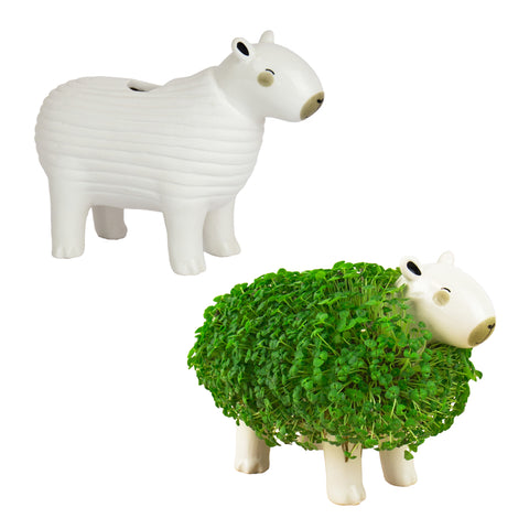 Gift Republic Plantenpot met chiazaden - Capybara