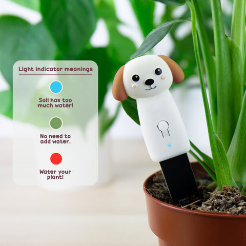 Gift Republic Vochtmeter - Dog