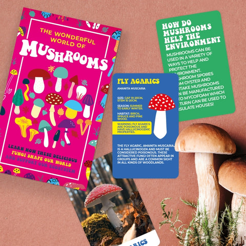 Gift Republic Kaartenset - The Wonderful World of Mushrooms